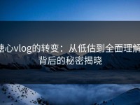 糖心vlog的转变：从低估到全面理解，背后的秘密揭晓