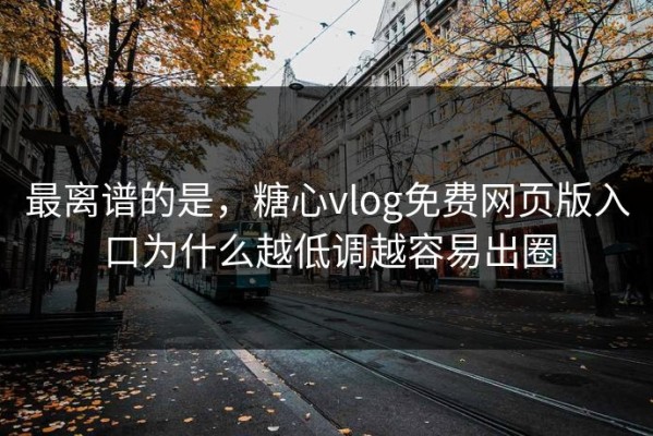 最离谱的是，糖心vlog免费网页版入口为什么越低调越容易出圈