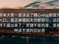 原来大家一直误会了糖心vlog新官方入口，真正被藏起来的那部分，这回终于露出来了，关键不是热度，是那种说不清的拉扯感