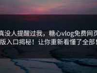 真没人提醒过我，糖心vlog免费网页版入口揭秘！让你重新看懂了全部！