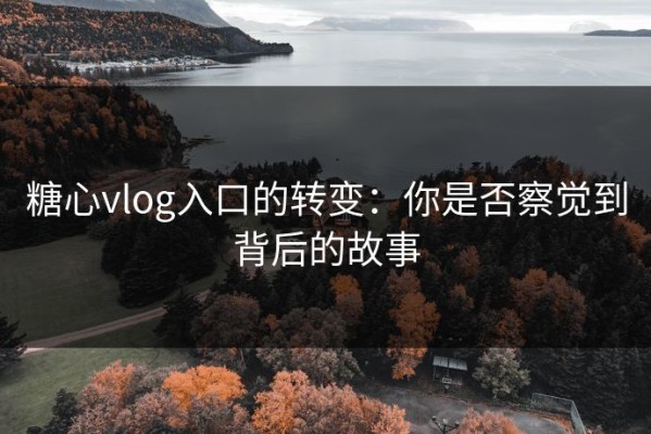 糖心vlog入口的转变：你是否察觉到背后的故事