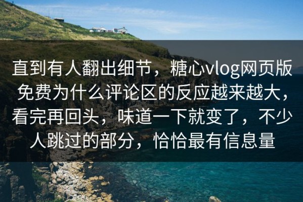直到有人翻出细节，糖心vlog网页版免费为什么评论区的反应越来越大，看完再回头，味道一下就变了，不少人跳过的部分，恰恰最有信息量