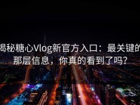 揭秘糖心Vlog新官方入口：最关键的那层信息，你真的看到了吗？