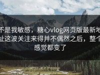 不是我敏感，糖心vlog网页版最新地址这波关注来得并不偶然之后，整个感觉都变了