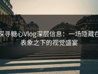 探寻糖心Vlog深层信息：一场隐藏在表象之下的视觉盛宴