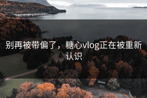 别再被带偏了，糖心vlog正在被重新认识