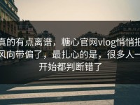 真的有点离谱，糖心官网vlog悄悄把风向带偏了，最扎心的是，很多人一开始都判断错了