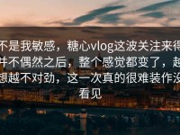 不是我敏感，糖心vlog这波关注来得并不偶然之后，整个感觉都变了，越想越不对劲，这一次真的很难装作没看见