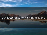 深入探索《糖心vlog》的真实魅力