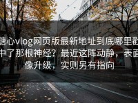 糖心vlog网页版最新地址到底哪里戳中了那根神经？最近这阵动静，表面像升级，实则另有指向