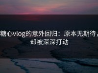 糖心vlog的意外回归：原本无期待，却被深深打动