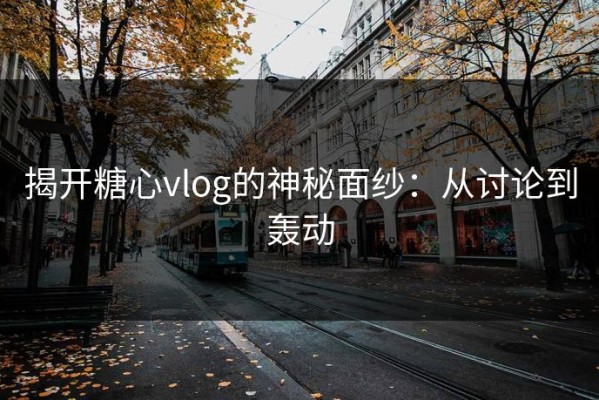 揭开糖心vlog的神秘面纱：从讨论到轰动