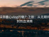 探寻糖心vlog的魅力之旅：从无期待到热血沸腾