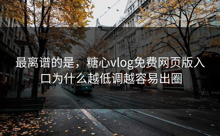 最离谱的是，糖心vlog免费网页版入口为什么越低调越容易出圈