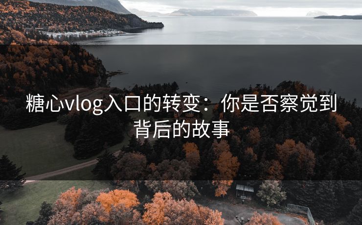 糖心vlog入口的转变：你是否察觉到背后的故事