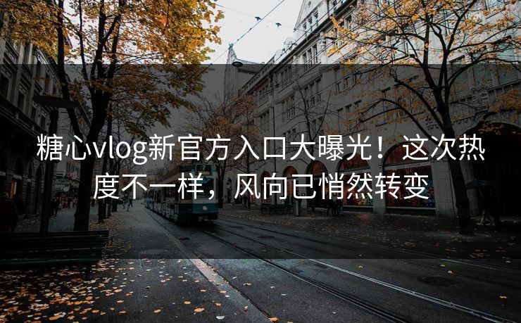 糖心vlog新官方入口大曝光！这次热度不一样，风向已悄然转变