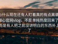 为什么现在还有人盯着真的有点离谱，糖心官网vlog，不是单纯热度回来了，而是有人把之前没讲明白的东西补上了
