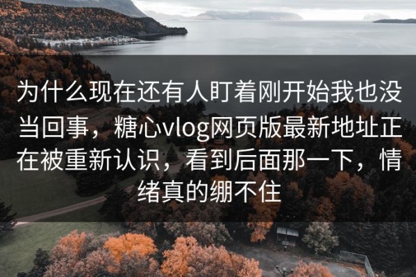 为什么现在还有人盯着刚开始我也没当回事，糖心vlog网页版最新地址正在被重新认识，看到后面那一下，情绪真的绷不住