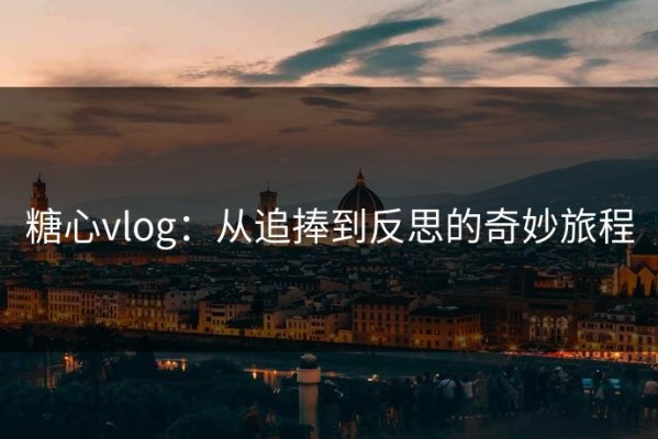 糖心vlog：从追捧到反思的奇妙旅程