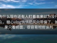 为什么现在还有人盯着本来以为没什么，糖心vlog悄悄把风向带偏了，如果只看前面，很容易彻底误判