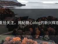 重拾关注，揭秘糖心vlog的新兴辉煌