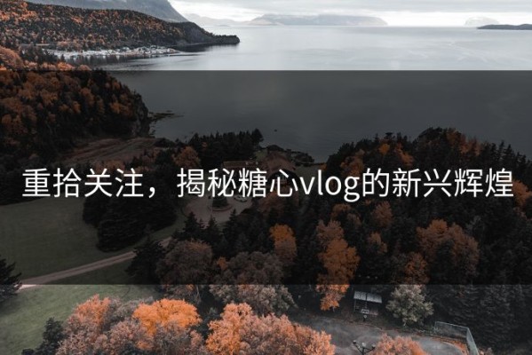 重拾关注，揭秘糖心vlog的新兴辉煌