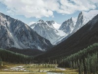 糖心vlog免费网页版：探秘背后的复杂故事