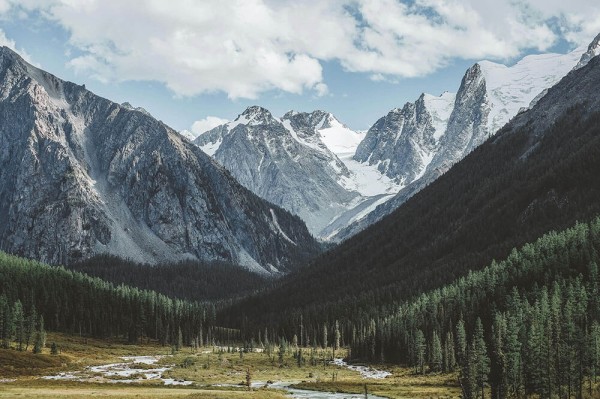 真没人提醒过我，关于糖心vlog，最容易被忽视的那层信息，恰恰才最值得反复看，偏偏最关键的部分总被轻轻带过