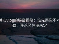 糖心vlog的秘密揭晓：谁先察觉不对劲，评论区惊魂未定