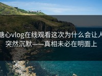 糖心vlog在线观看这次为什么会让人突然沉默——真相未必在明面上