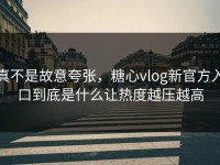 真不是故意夸张，糖心vlog新官方入口到底是什么让热度越压越高