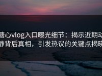糖心vlog入口曝光细节：揭示近期动静背后真相，引发热议的关键点揭晓