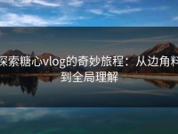 探索糖心vlog的奇妙旅程：从边角料到全局理解