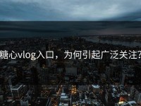 糖心vlog入口，为何引起广泛关注？