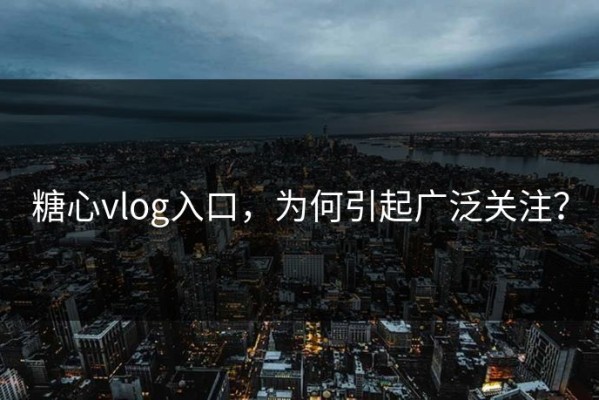 糖心vlog入口，为何引起广泛关注？