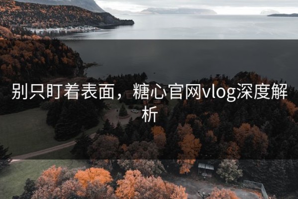 别只盯着表面，糖心官网vlog深度解析