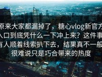 原来大家都漏掉了，糖心vlog新官方入口到底凭什么一下冲上来？这件事，有人顺着线索扒下去，结果真不一般，很难说只是巧合带来的热度