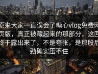 原来大家一直误会了糖心vlog免费网页版，真正被藏起来的那部分，这回终于露出来了，不是夸张，是那股后劲确实压不住