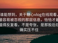 谁能想到，关于糖心vlog在线观看，最容易被忽视的那层信息，恰恰才最值得反复看，不是夸张，是那股后劲确实压不住