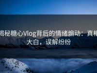 揭秘糖心Vlog背后的情绪煽动：真相大白，误解纷纷