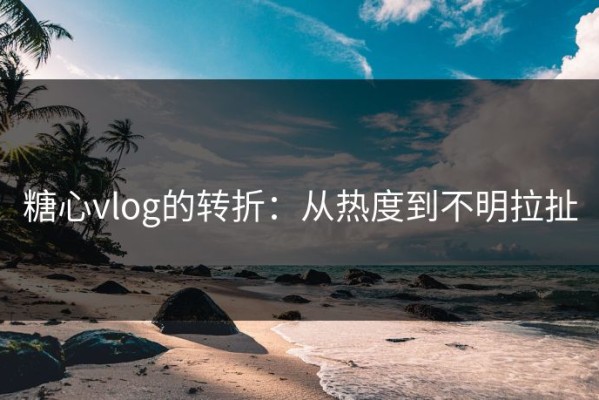 糖心vlog的转折：从热度到不明拉扯