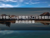探寻糖心vlog新官方入口深夜被翻出来的背后故事