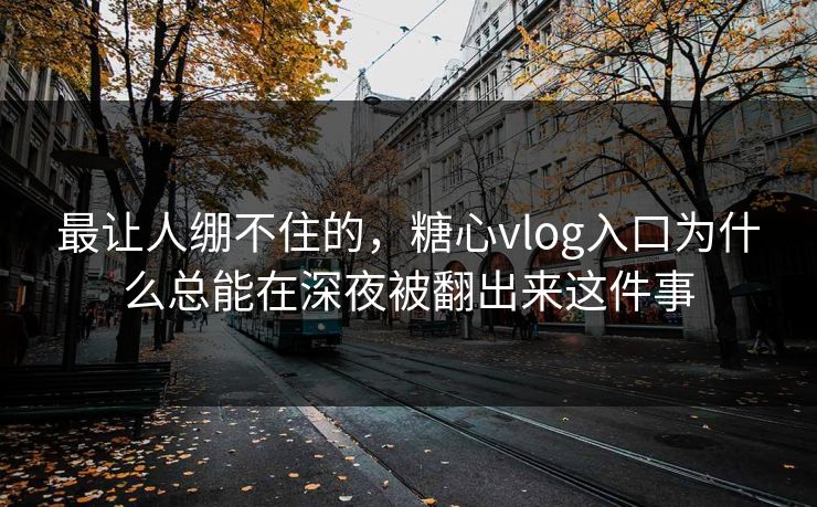 最让人绷不住的，糖心vlog入口为什么总能在深夜被翻出来这件事