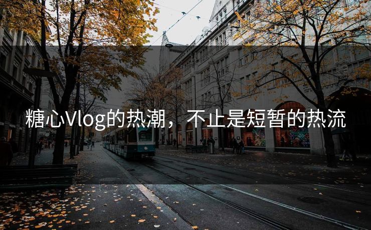 糖心Vlog的热潮,不止是短暂的热流 糖心Vlog的热潮,不止是短暂的热流