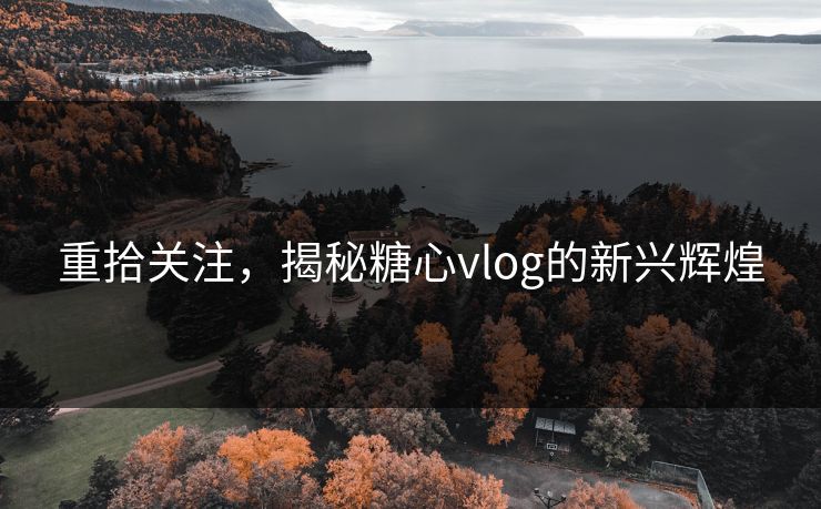 重拾关注,揭秘糖心vlog的新兴辉煌 重拾关注,揭秘糖心vlog的新兴辉煌